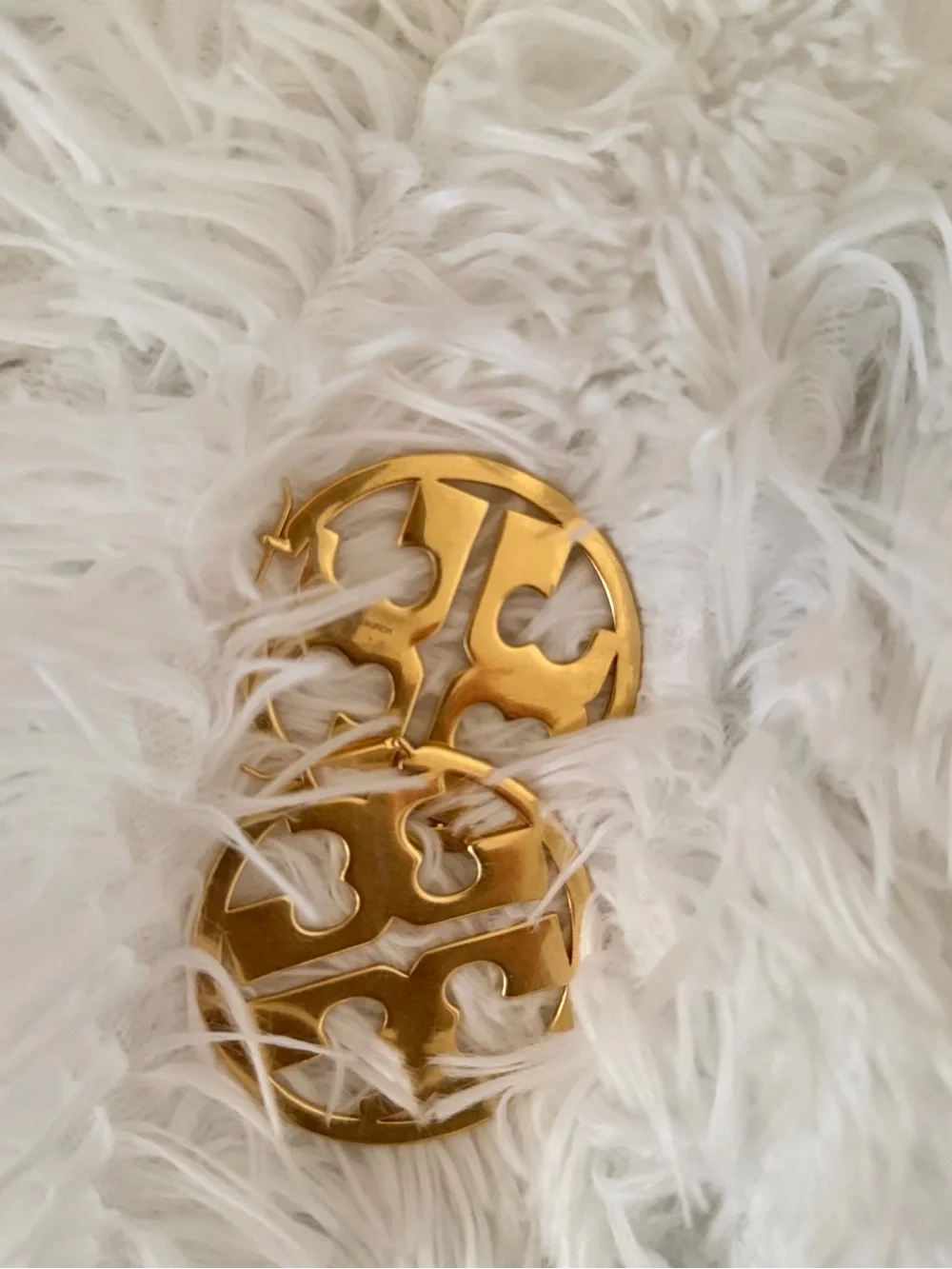 Earrings (Jewelry) not in list